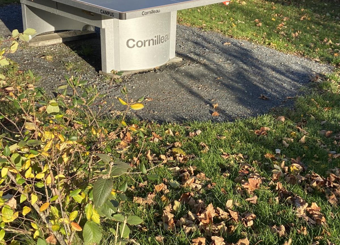 Tischtennis im Garten